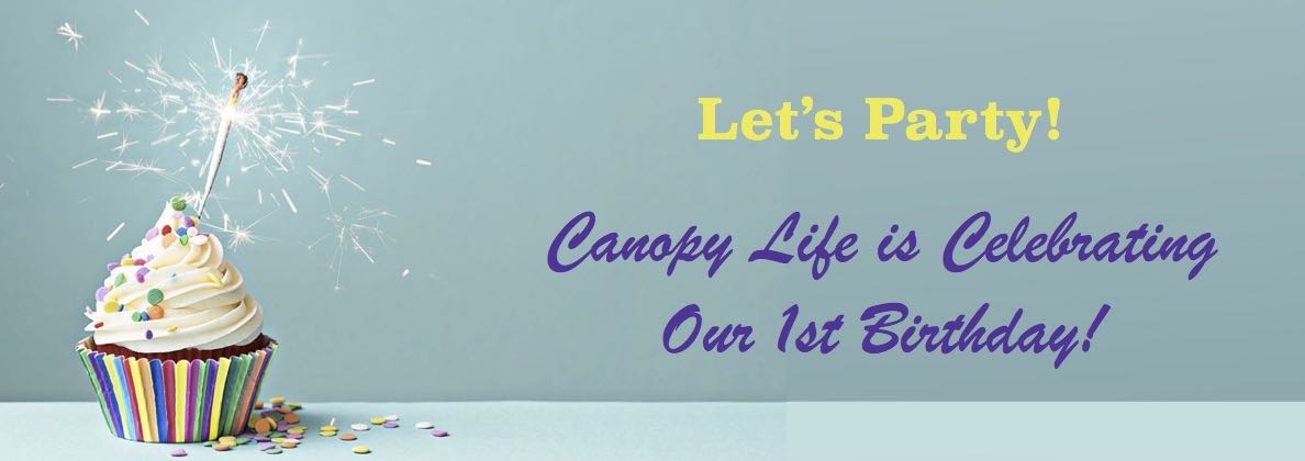 Let's Party: Canopy Life is Turning One!