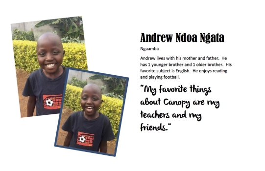 Andrew Ndoa Ngata