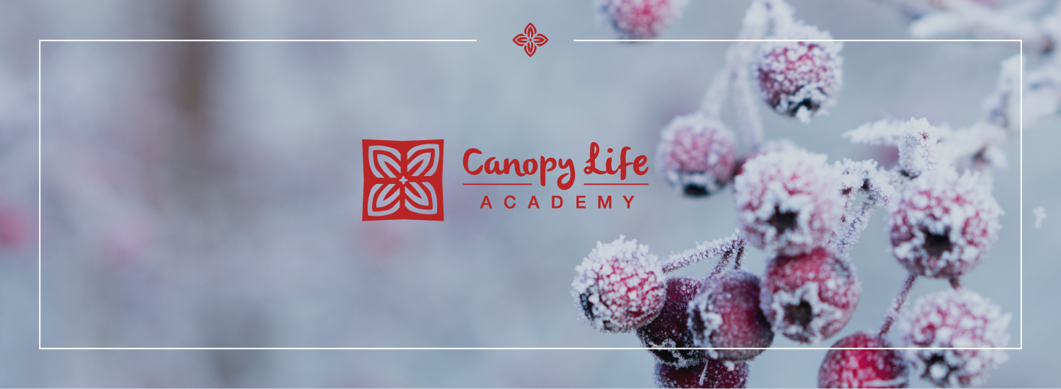 A Gift from Canopy Life to YOU!